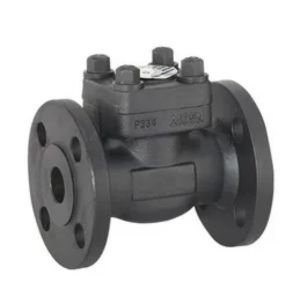 Carbon Steel Check Valve